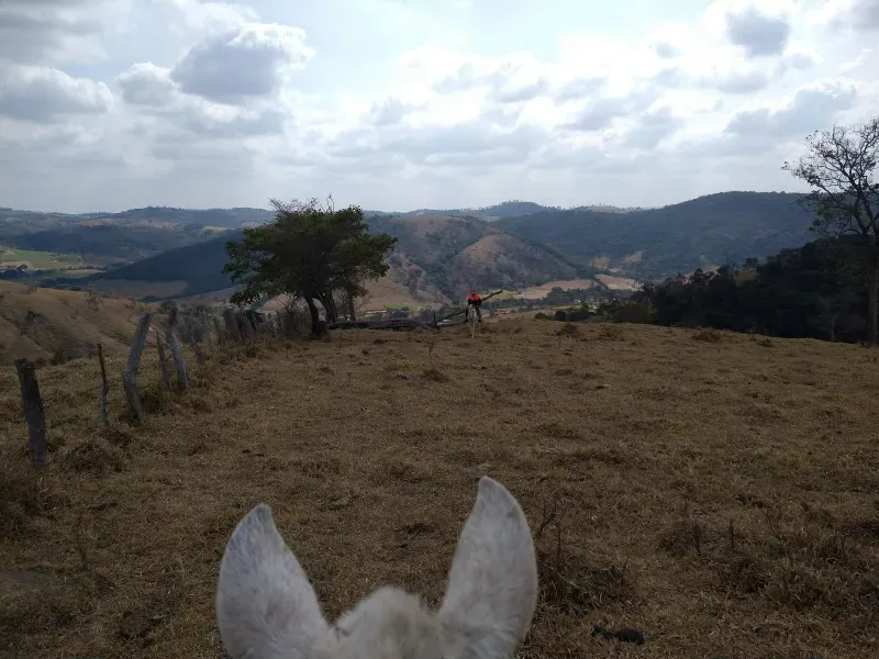 Fazenda em Piracema/Minas Gerais — Ref 62H6PQ — Imagem 30