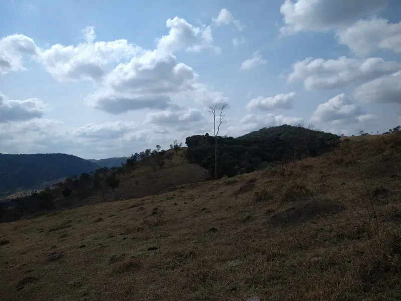 Fazenda em Piracema/Minas Gerais — Ref 62H6PQ — Imagem 32
