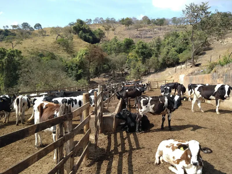 Fazenda em Piracema/Minas Gerais — Ref 62H6PQ — Imagem 41