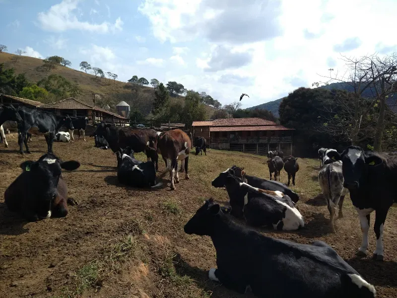 Fazenda em Piracema/Minas Gerais — Ref 62H6PQ — Imagem 38