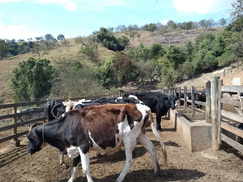Fazenda em Piracema/Minas Gerais — Ref 62H6PQ — Imagem 40