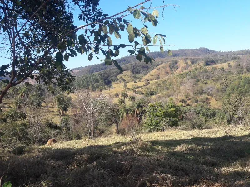 Fazenda em Itaúna/Minas Gerais — Ref 49GBRN — Imagem 7