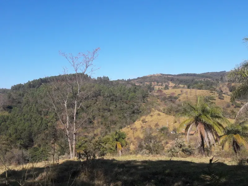 Fazenda em Itaúna/Minas Gerais — Ref 49GBRN — Imagem 6
