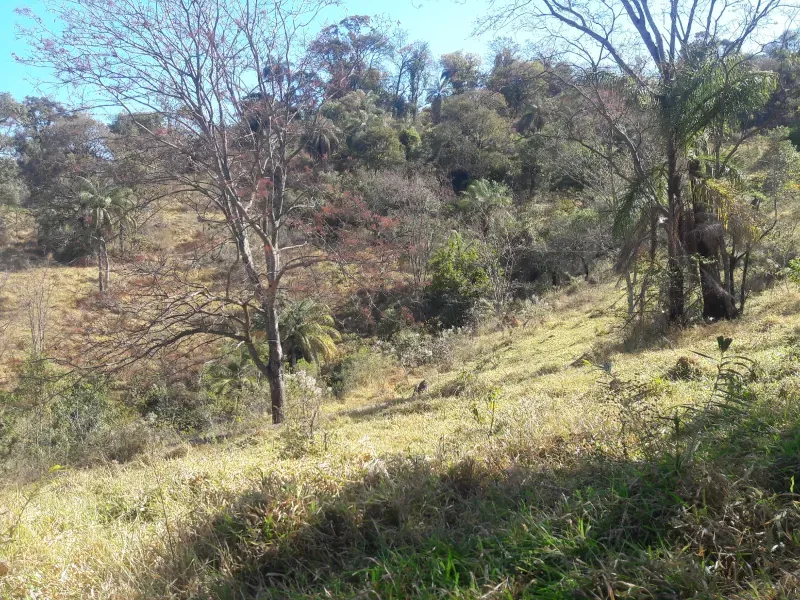 Fazenda em Itaúna/Minas Gerais — Ref 49GBRN — Imagem 8