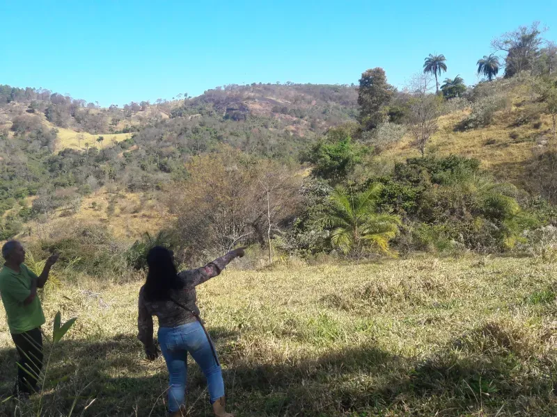 Fazenda em Itaúna/Minas Gerais — Ref 49GBRN — Imagem 9