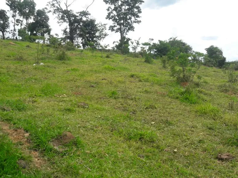 Fazenda em Itaúna/Minas Gerais — Ref 49GBRN — Imagem 10