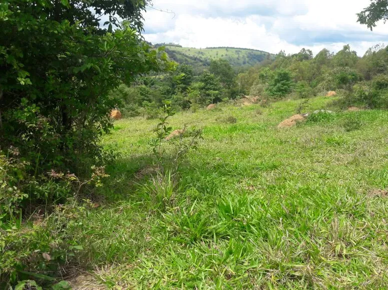 Fazenda em Itaúna/Minas Gerais — Ref 49GBRN — Imagem 11