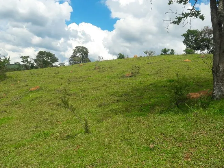 Fazenda em Itaúna/Minas Gerais — Ref 49GBRN — Imagem 13