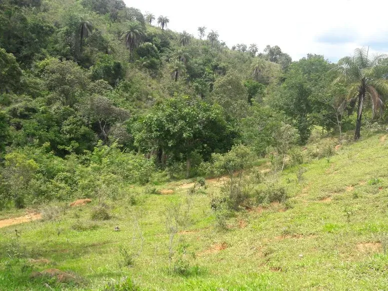 Fazenda em Itaúna/Minas Gerais — Ref 49GBRN — Imagem 15