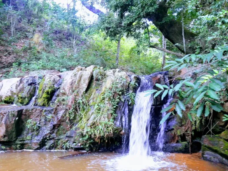 Fazenda em Itaúna/Minas Gerais — Ref 49GBRN — Imagem 17