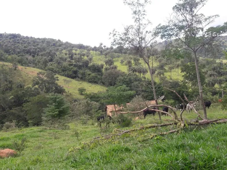 Fazenda em Itaúna/Minas Gerais — Ref 49GBRN — Imagem 28