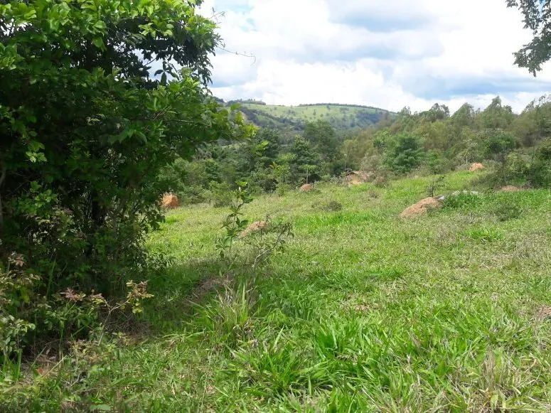 Fazenda em Itaúna/Minas Gerais — Ref 49GBRN — Imagem 29