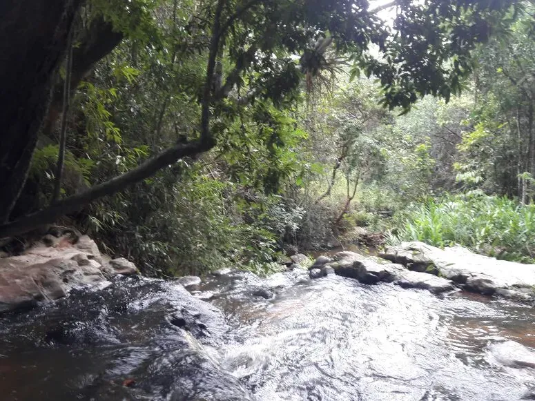 Fazenda em Itaúna/Minas Gerais — Ref 49GBRN — Imagem 30