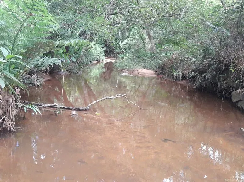 Fazenda em Itaúna/Minas Gerais — Ref 49GBRN — Imagem 31