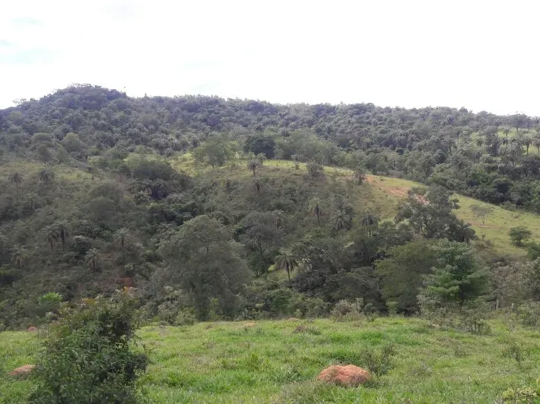 Fazenda em Itaúna/Minas Gerais — Ref 49GBRN — Imagem 32