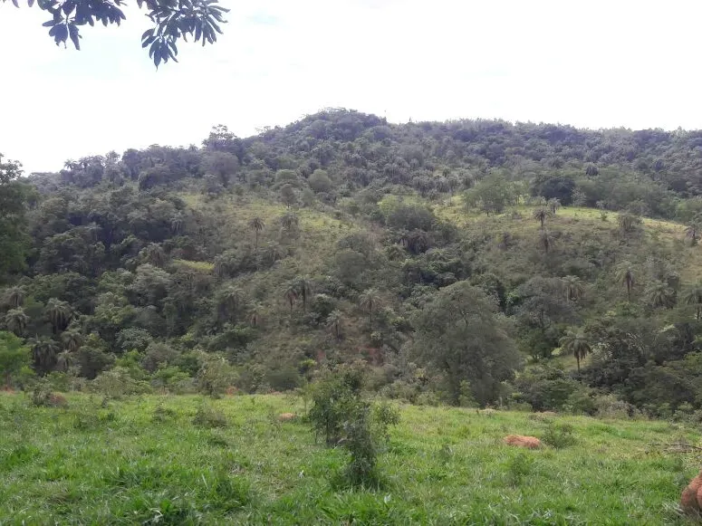 Fazenda em Itaúna/Minas Gerais — Ref 49GBRN — Imagem 33