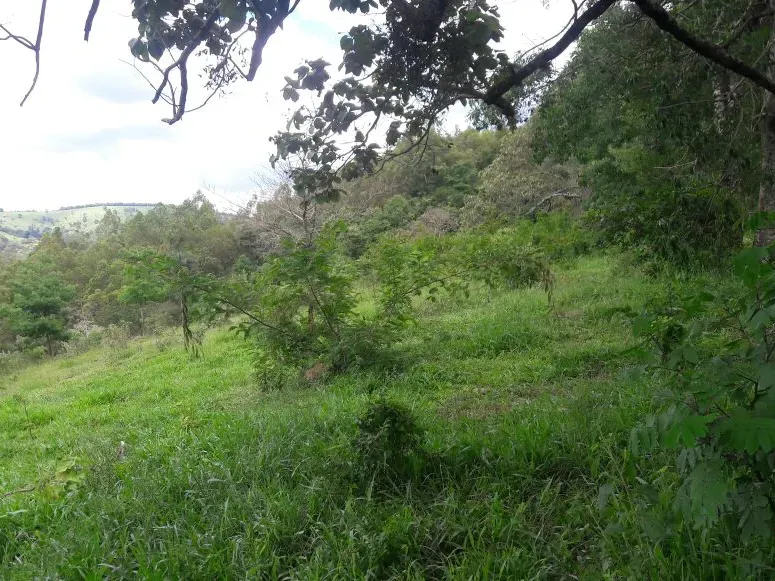 Fazenda em Itaúna/Minas Gerais — Ref 49GBRN — Imagem 34