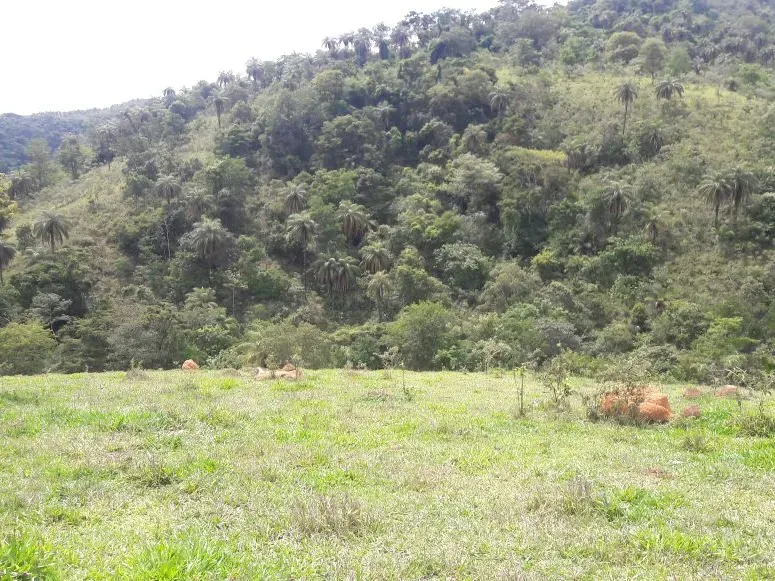 Fazenda em Itaúna/Minas Gerais — Ref 49GBRN — Imagem 36