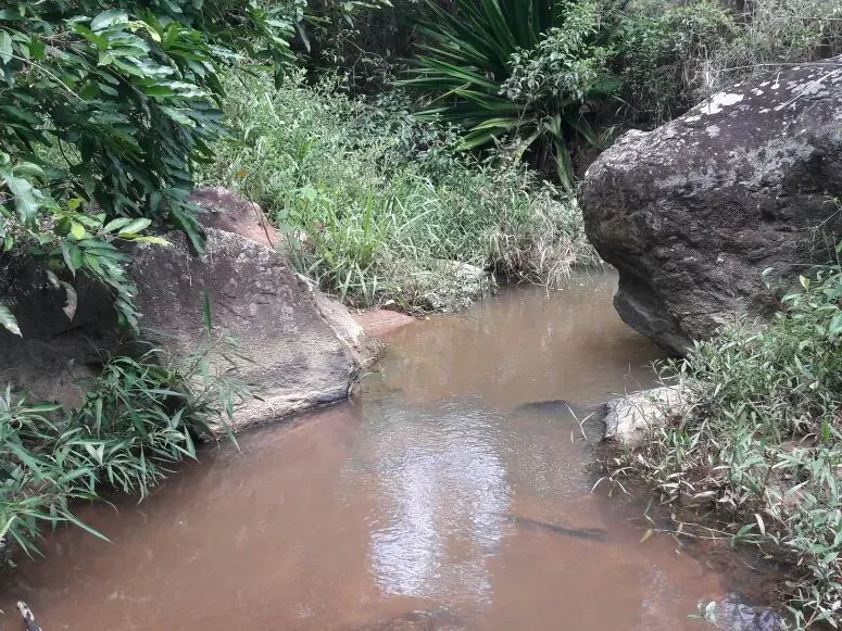 Fazenda em Itaúna/Minas Gerais — Ref 49GBRN — Imagem 25