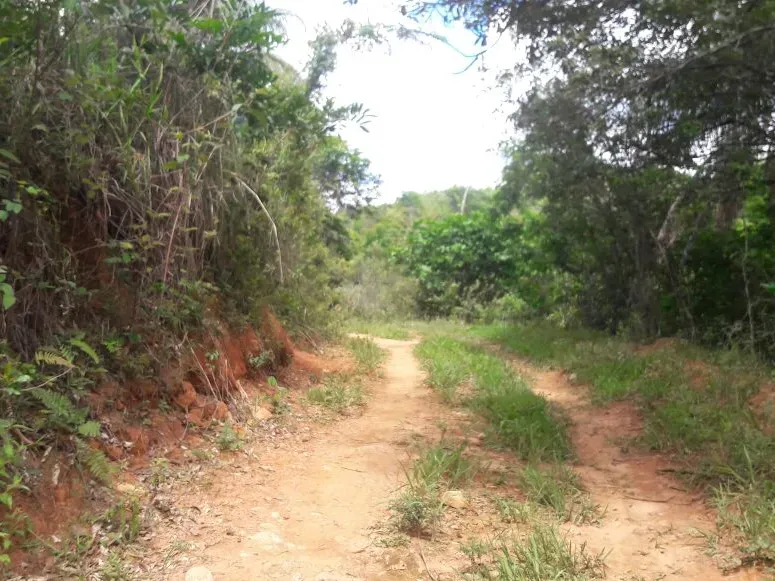 Fazenda em Itaúna/Minas Gerais — Ref 49GBRN — Imagem 38