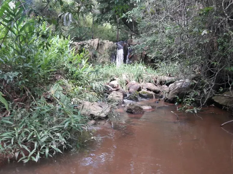 Fazenda em Itaúna/Minas Gerais — Ref 49GBRN — Imagem 20