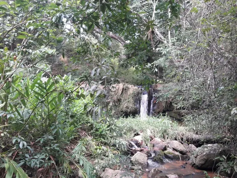 Fazenda em Itaúna/Minas Gerais — Ref 49GBRN — Imagem 39