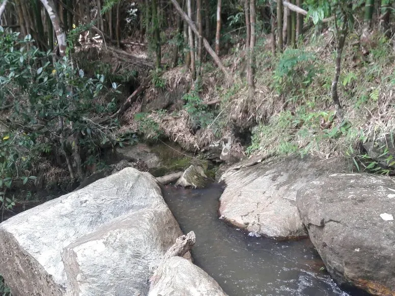 Fazenda em Itaúna/Minas Gerais — Ref 49GBRN — Imagem 26