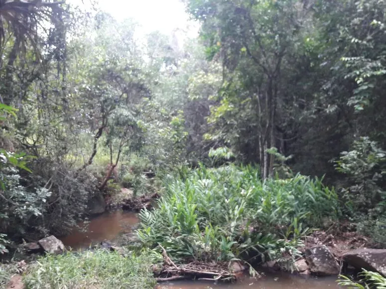 Fazenda em Itaúna/Minas Gerais — Ref 49GBRN — Imagem 23
