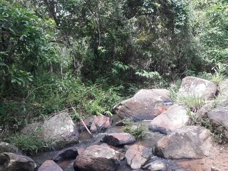 Fazenda em Itaúna/Minas Gerais — Ref 49GBRN — Imagem 22