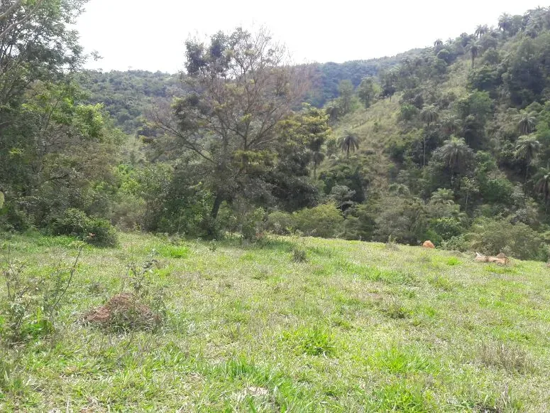 Fazenda em Itaúna/Minas Gerais — Ref 49GBRN — Imagem 41