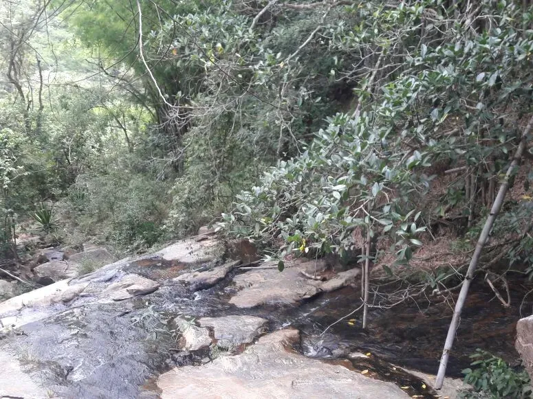 Fazenda em Itaúna/Minas Gerais — Ref 49GBRN — Imagem 24