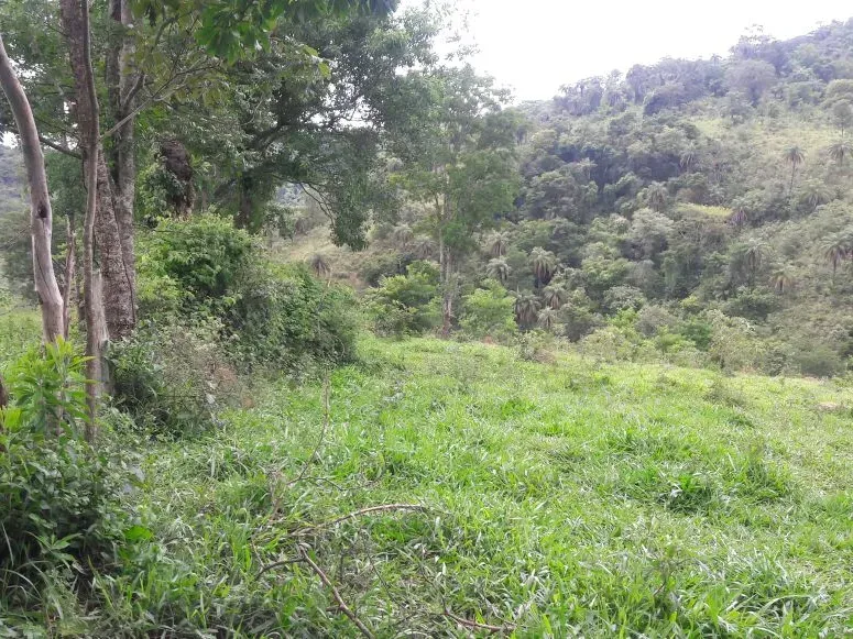 Fazenda em Itaúna/Minas Gerais — Ref 49GBRN — Imagem 42