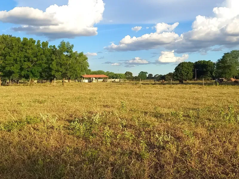 Fazenda em Porteirinha/Minas Gerais — Ref A7UZQH — Imagem 11