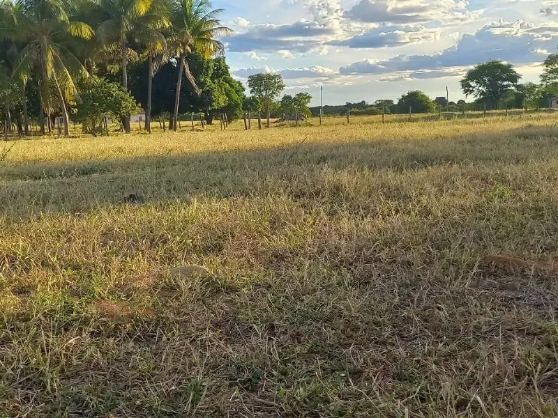 Fazenda em Porteirinha/Minas Gerais — Ref A7UZQH — Imagem 18