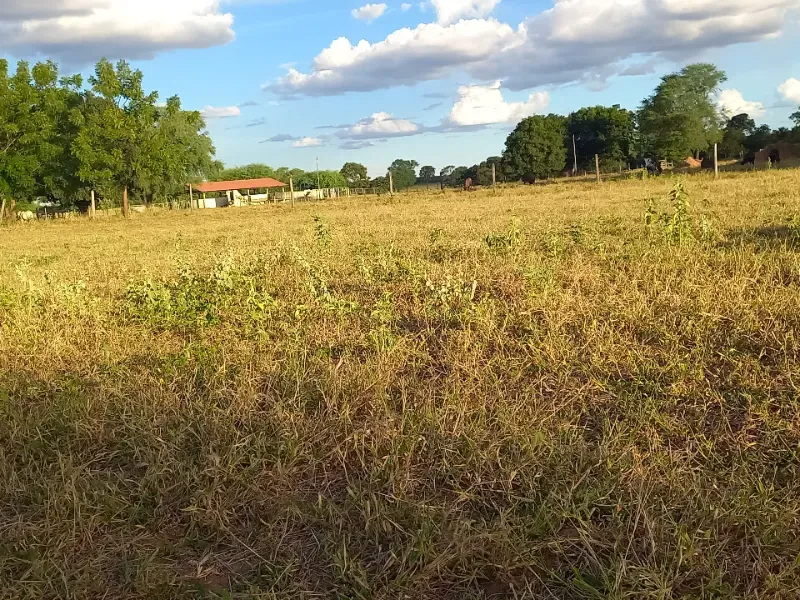 Fazenda em Porteirinha/Minas Gerais — Ref A7UZQH — Imagem 17