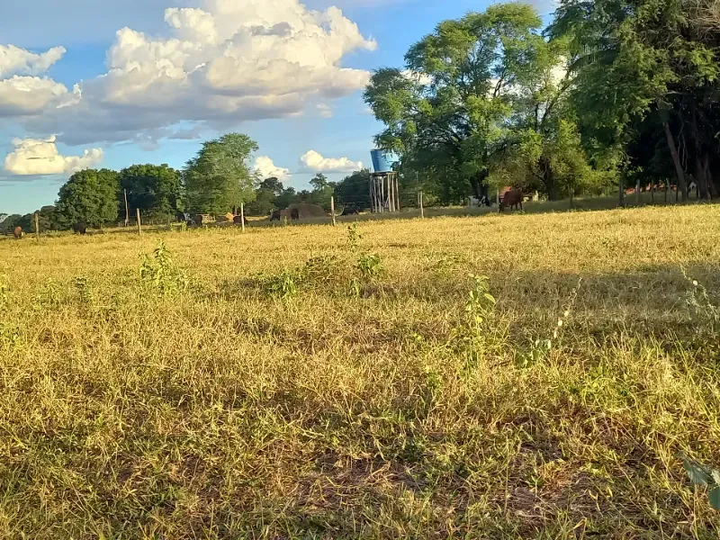 Fazenda em Porteirinha/Minas Gerais — Ref A7UZQH — Imagem 13