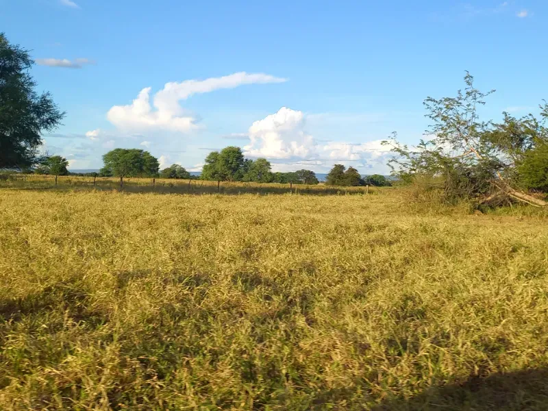 Fazenda em Porteirinha/Minas Gerais — Ref A7UZQH — Imagem 12