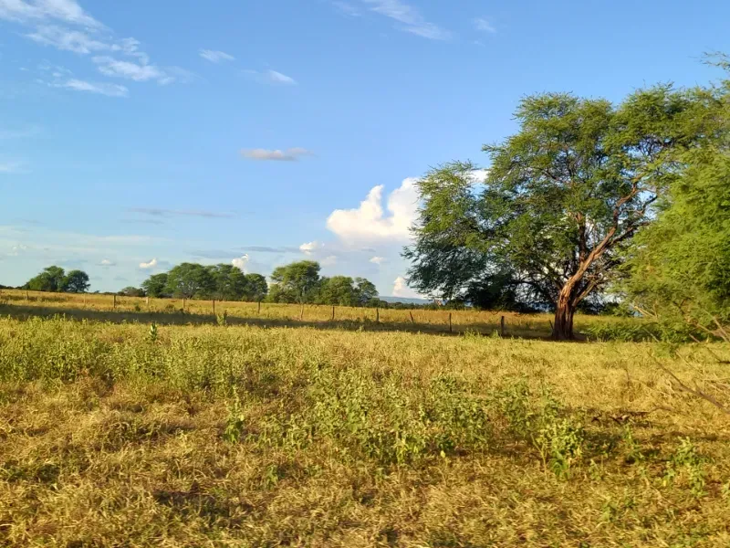 Fazenda em Porteirinha/Minas Gerais — Ref A7UZQH — Imagem 6