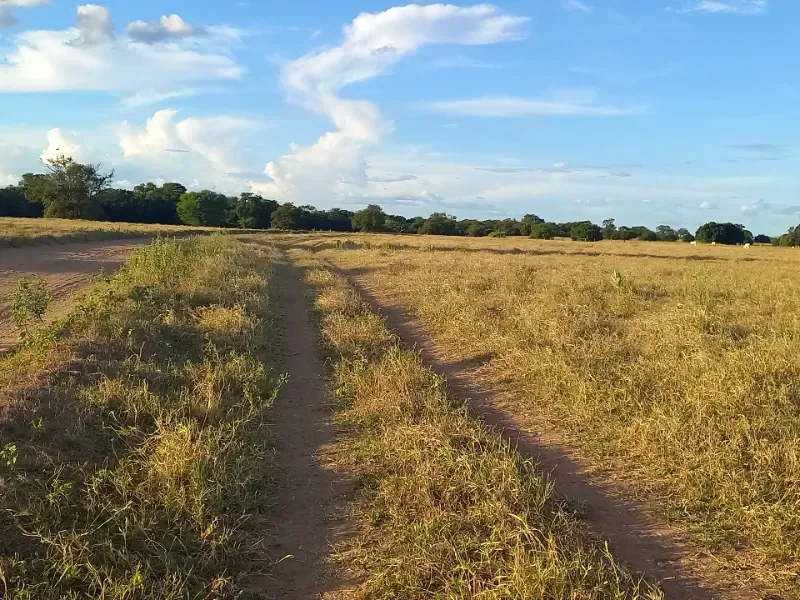 Fazenda em Porteirinha/Minas Gerais — Ref A7UZQH — Imagem 10