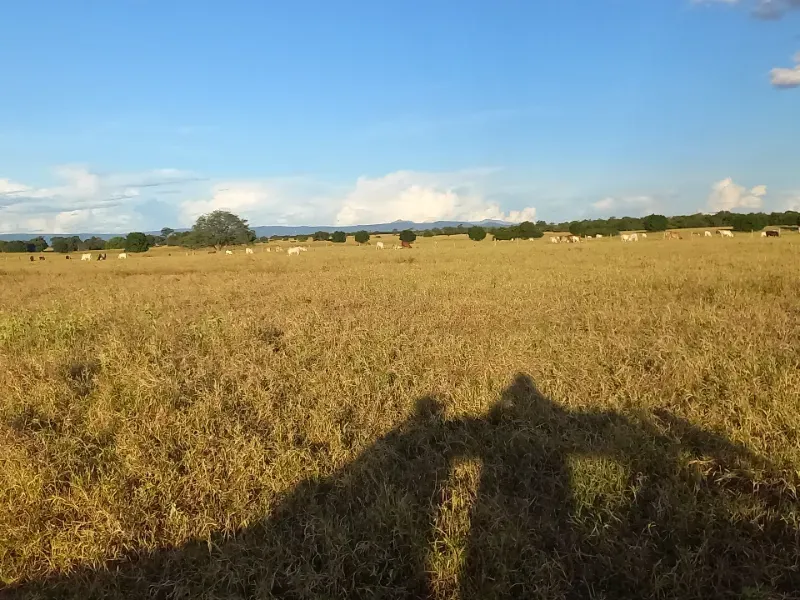 Fazenda em Porteirinha/Minas Gerais — Ref A7UZQH — Imagem 7
