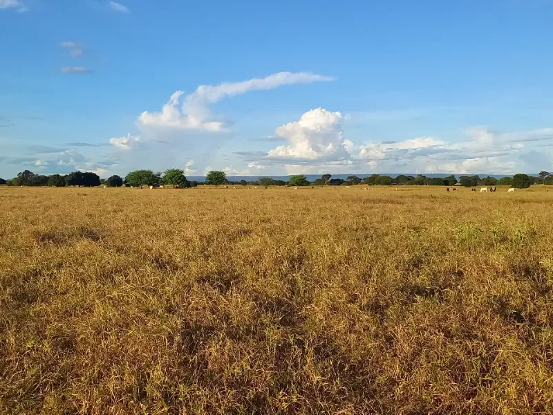 Fazenda em Porteirinha/Minas Gerais — Ref A7UZQH — Imagem 9