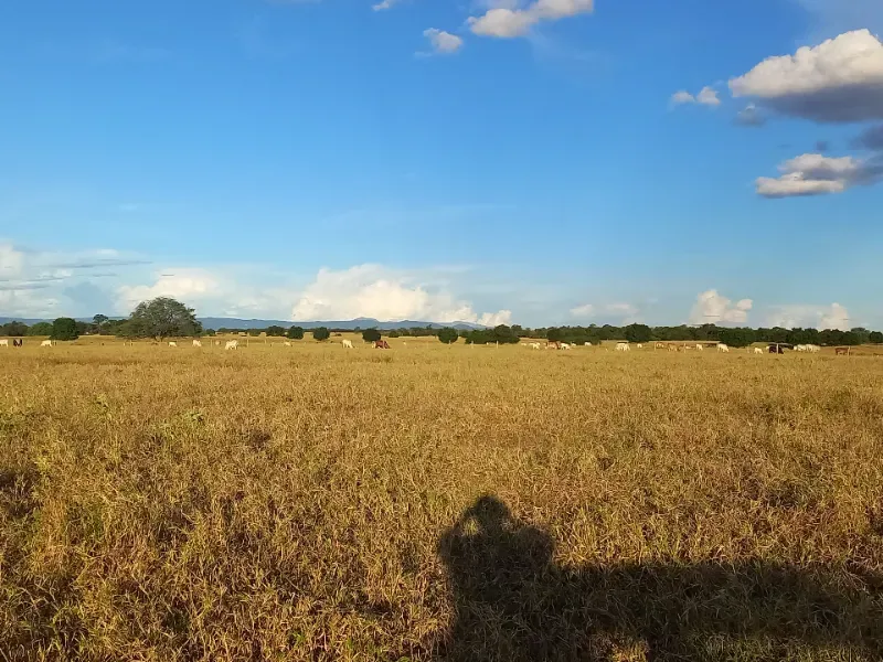 Fazenda em Porteirinha/Minas Gerais — Ref A7UZQH — Imagem 8