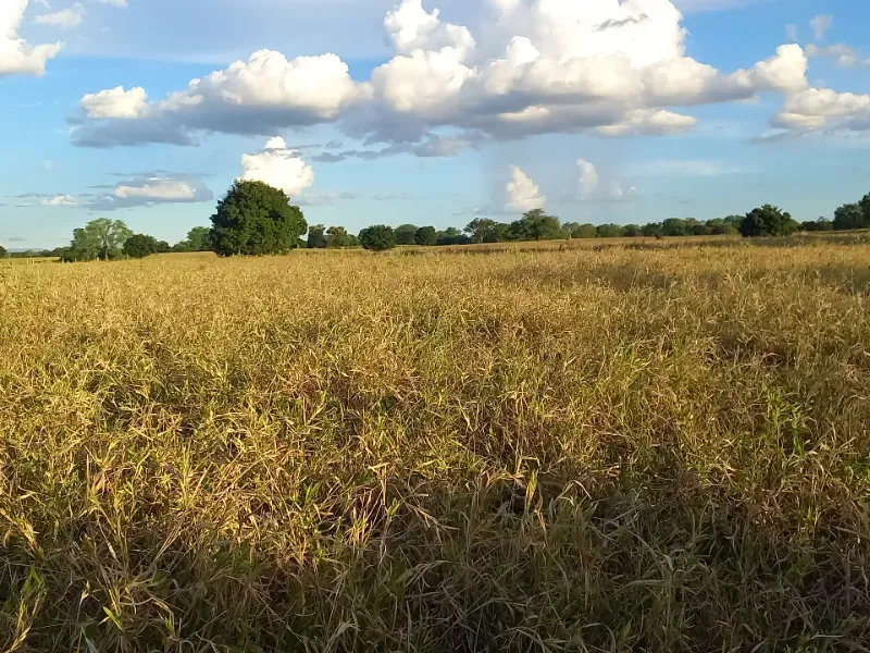 Fazenda em Porteirinha/Minas Gerais — Ref A7UZQH — Imagem 16