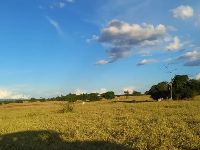 Fazenda em Porteirinha/Minas Gerais — Ref A7UZQH — Imagem 4