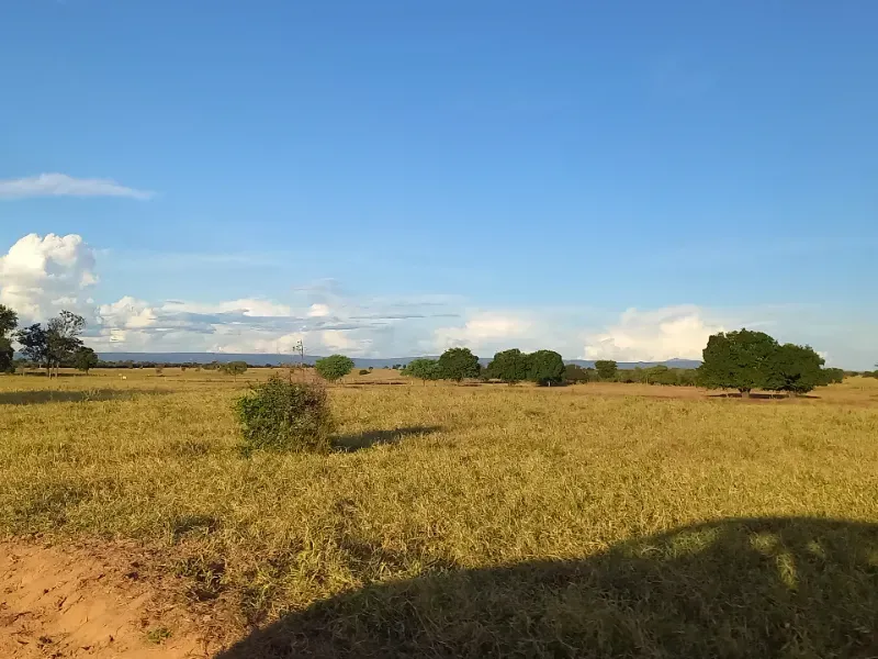 Fazenda em Porteirinha/Minas Gerais — Ref A7UZQH — Imagem 5