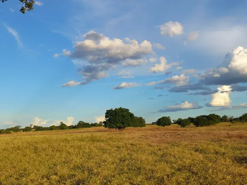 Fazenda em Porteirinha/Minas Gerais — Ref A7UZQH — Imagem 2