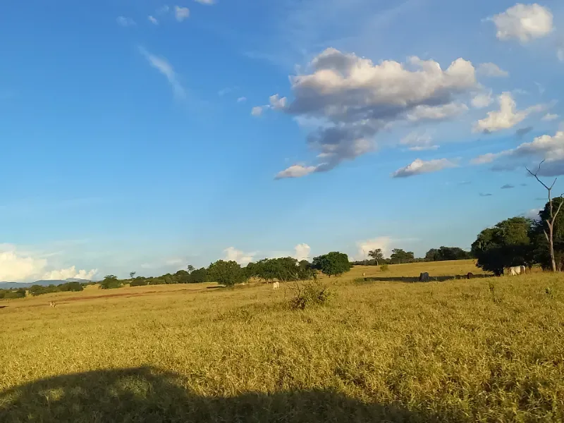 Fazenda em Porteirinha/Minas Gerais — Ref A7UZQH — Imagem 3