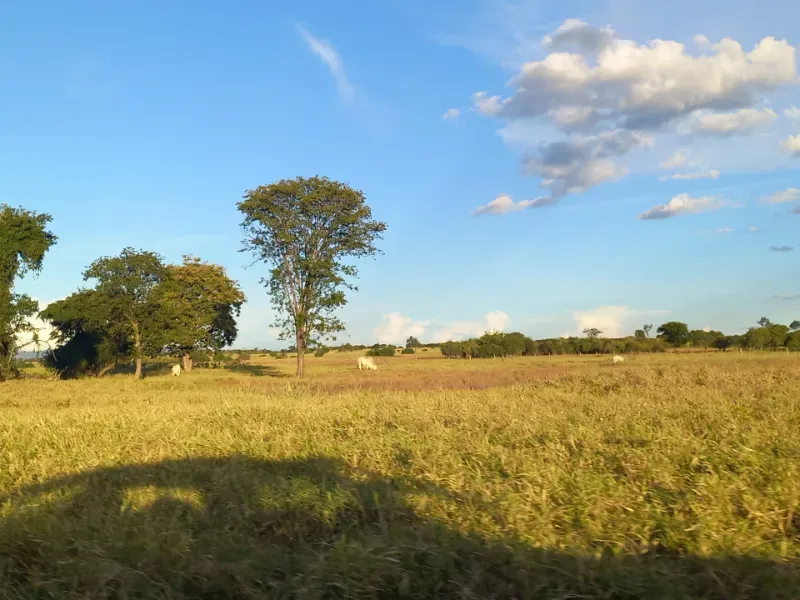 Fazenda em Porteirinha/Minas Gerais — Ref A7UZQH — Imagem 14