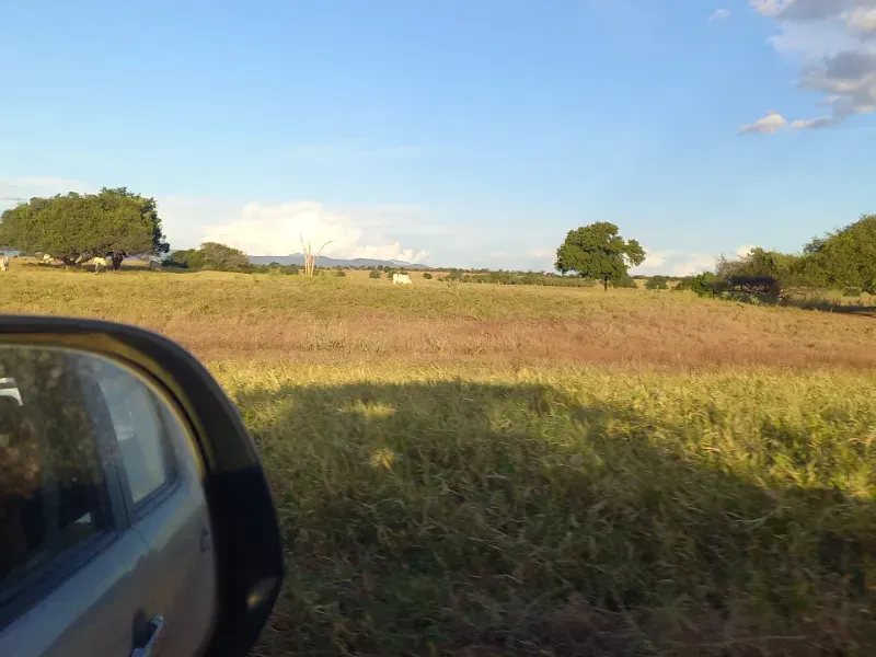Fazenda em Porteirinha/Minas Gerais — Ref A7UZQH — Imagem 20