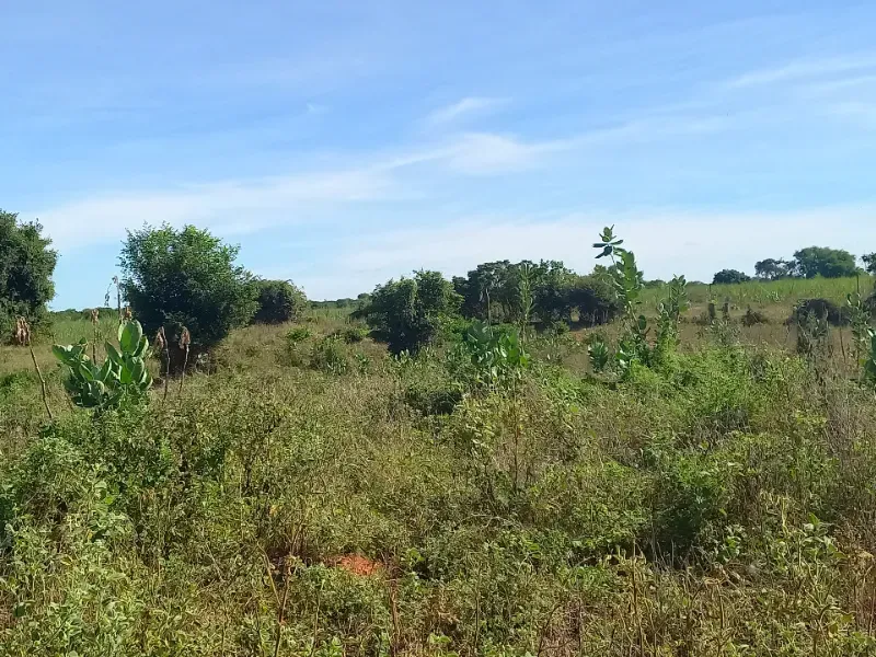 Fazenda em Jaíba/Minas Gerais — Ref 18I3GA — Imagem 5